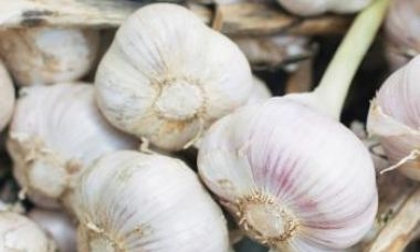 11 beneficii pentru sănătate ale usturoiului