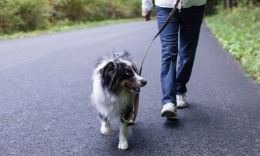 Cum vă poate ajuta mersul pe jos să slăbiți și să scăpați de  grăsimea abdominală